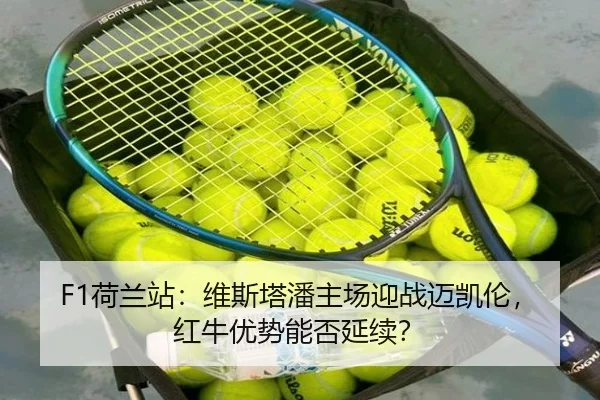 he-lan-zhan-wei-si-ta-pan-zhu-chang-ying-zhan-mai-kai-lun-hong-niu-you-shi-neng-fou-yan-xu-3-492.jpg
